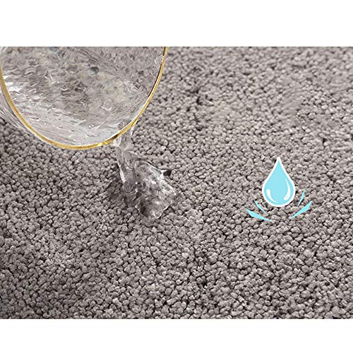 Tapis de bain antidérapant absorbant l'eau paillasson douche 40x60 - 3
