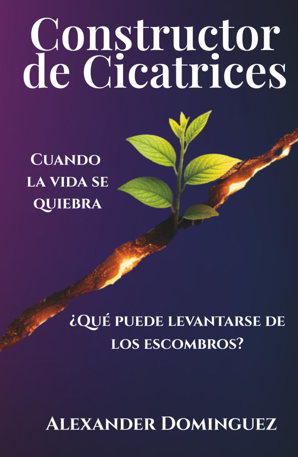 Constructor de Cicatrices: Cuando la vida se quiebra, ¿qué puede levantarse de los escombros?
