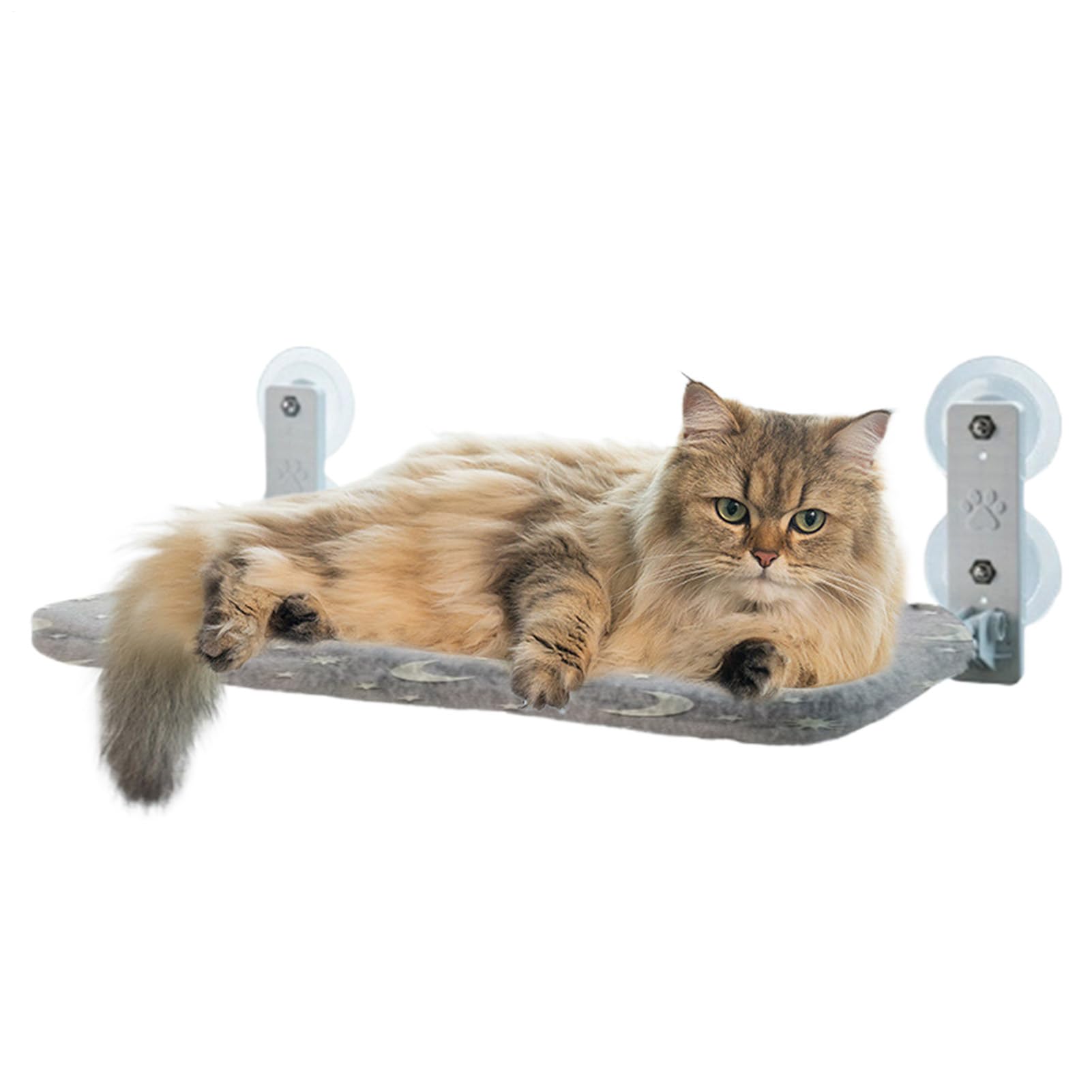 Perchoir fenêtre pour chat et lit hamac pliable pour petits espaces