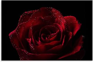 Red-rose-with-dew-drops Poster Decorative Painting Canvas Wall Art Living Room Posters Bedroom Painting 12x08inch(30x20cm)