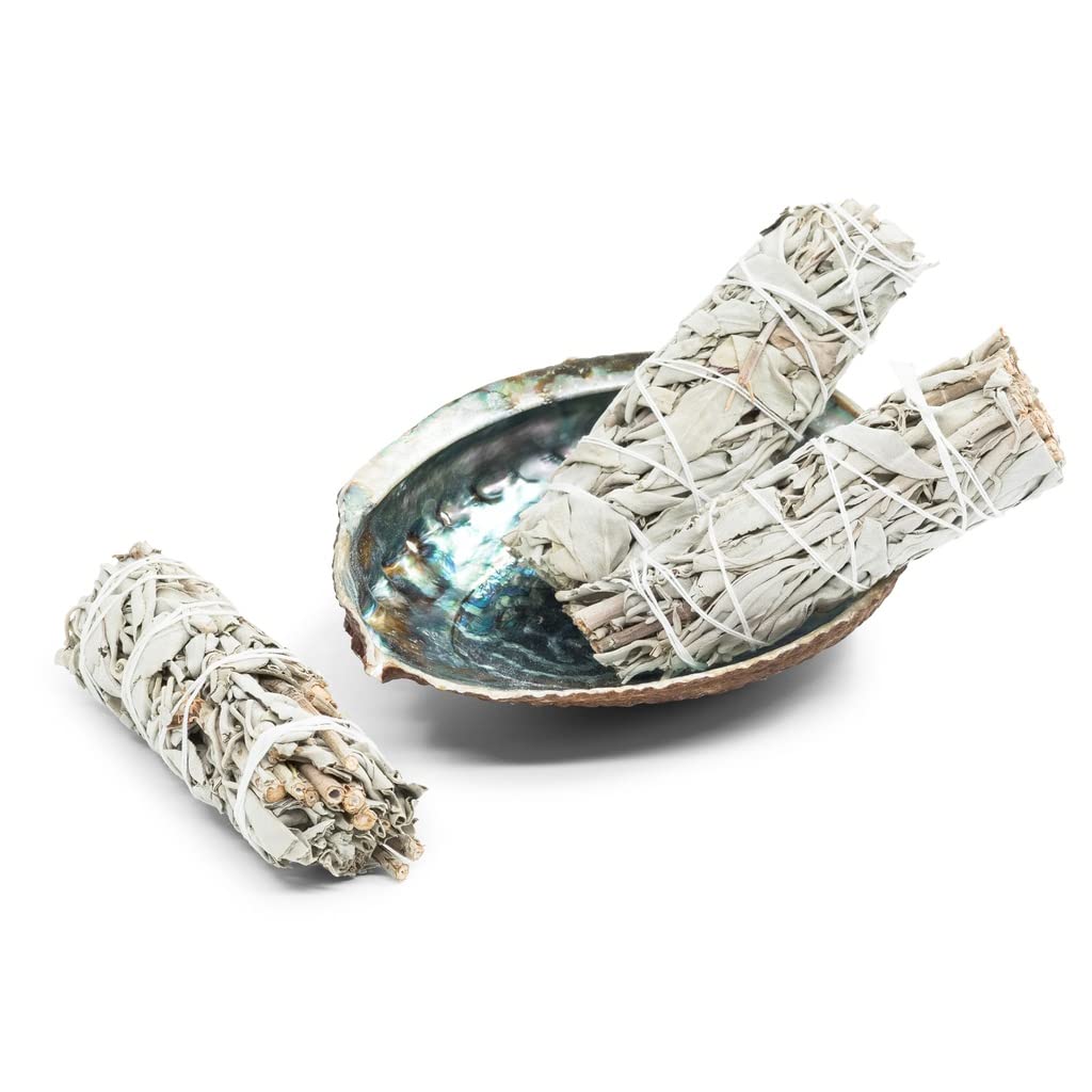 The Jasmin Store Smudging Kit 3 White Sage Smudge Stick + 1 Abalone Shell Bowl, Sustainably Sourced Home Cleansing, Meditation, Positive Energy