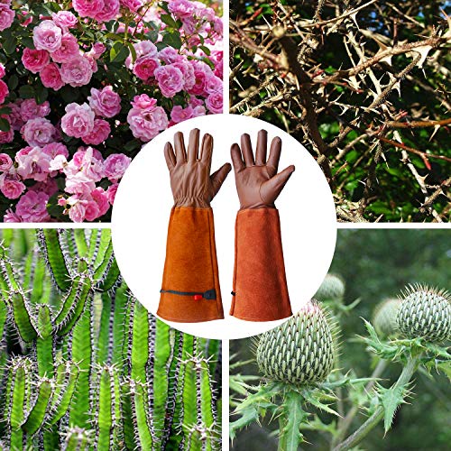 Glosav Gardening Gloves, Professional Puncture Proof Gloves For Rose Pruning & Cactus Trimming, Long Leather Garden Gloves Gifts For Women & Men- Full Grain Pigskin (Thorn Proof) (Small, Brown) #TOP4