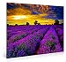 Nuolanart-PURPLE LAVENDER MORNING Framed Canvas Wall Art - Modern Landscape Canvas Wall Decorations-P1L4060-005
