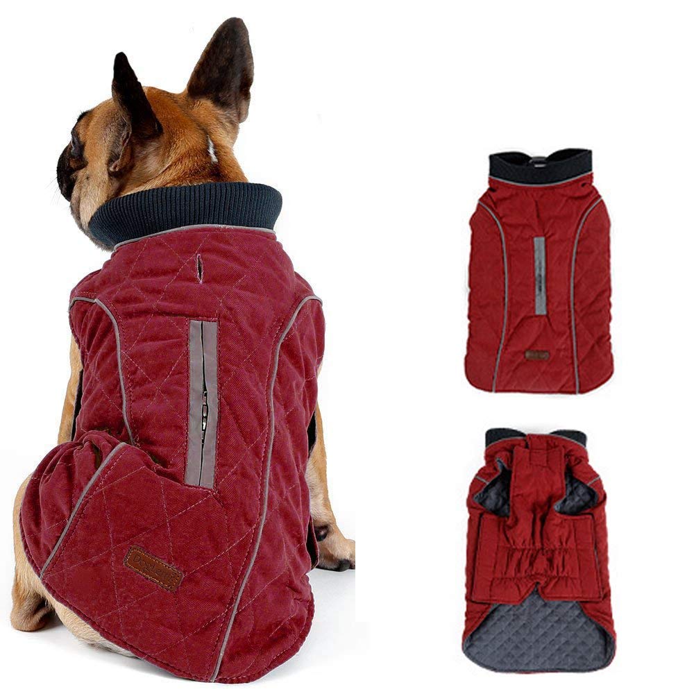 winter dog coats for jack russells