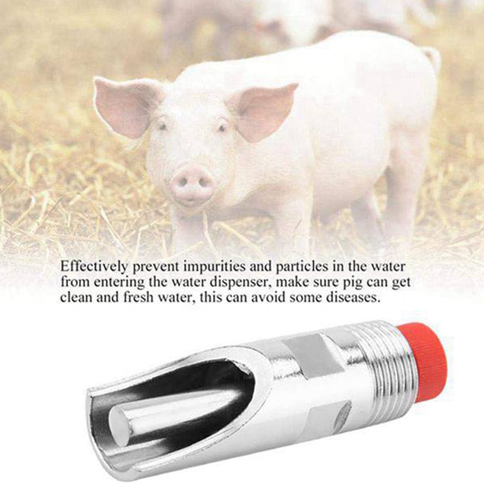 Daconovo Dispensador Automático Pezón de Cerdo Acero Inoxidable 20, Boquilla Automática, Pezón de Bebida