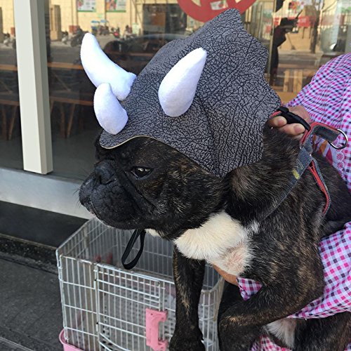 Sombrero disfraz dinosaurio Triceratops para mascotas miniatura 2