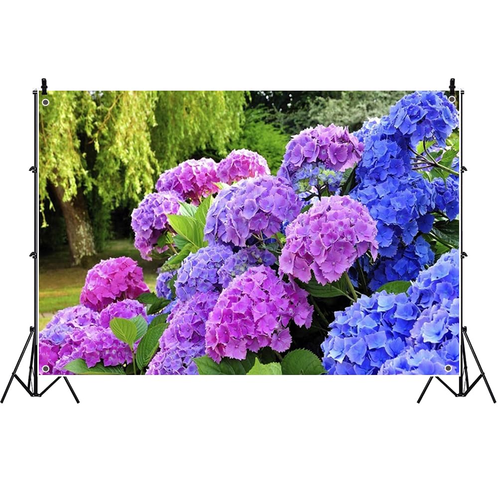 Amazon | Qinunipoto 背景布 紫陽花の背景 2.5x1.8m 夏の花 アジサイ