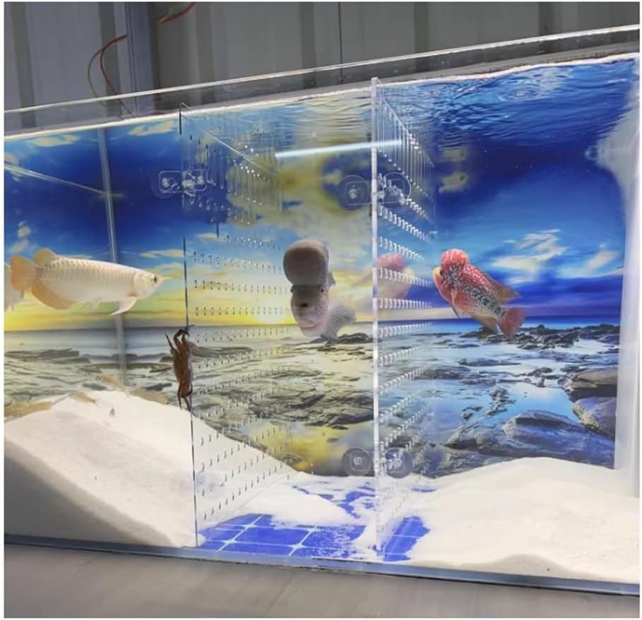 Aquarium Fish Tank Divider, Fish Tank Isolation Board Partition Can Be Cropped Separator Plate Baffle Isolation Net Mixed Culture Turtle Fish Prevent Fight