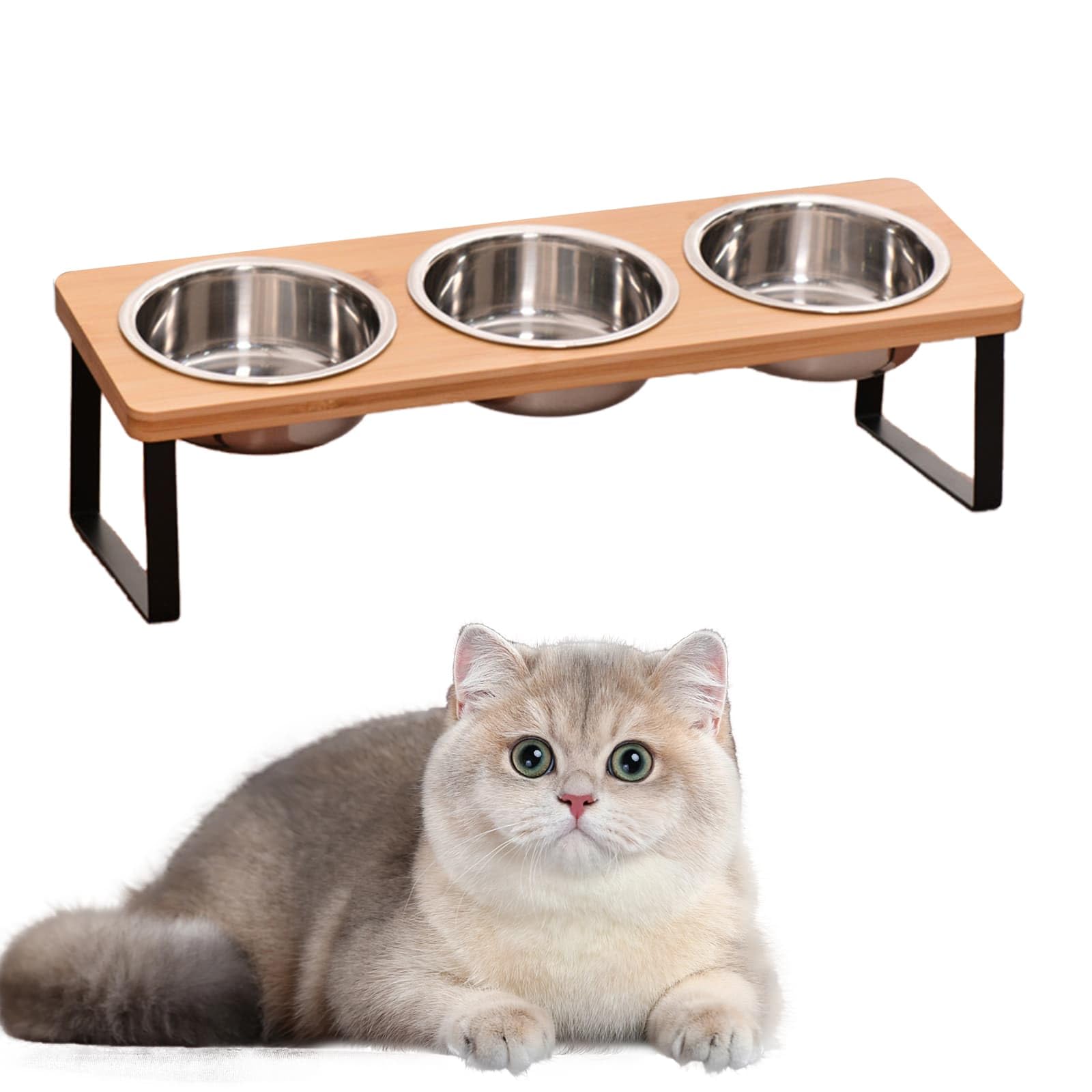 Gamelles pour chat inclinées 15° hauteur réglable petits chiens