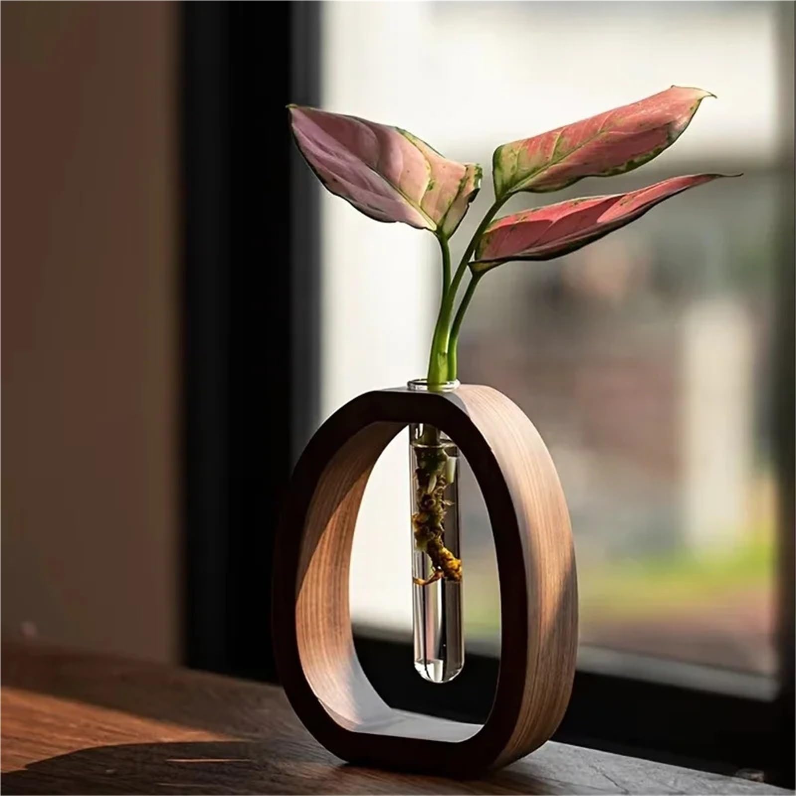Vase Hydroponique Verre Plante hydroponique Terrarium Vasevase décoration Maison Bouteille en Verre Bureau Plante Verte Petit Pot(M)