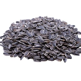 Lightly Sea Salted Sunflower Seed in Shell by Gerbs - 2 LBS - Top 11 Food Allergen Free & Non GMO - Premium Dry Roasted Seeds COG USA