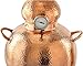 Copper Alembic Still, 5 Gallon (20L) Capacity, Hammered Design with Temperature Gauge
