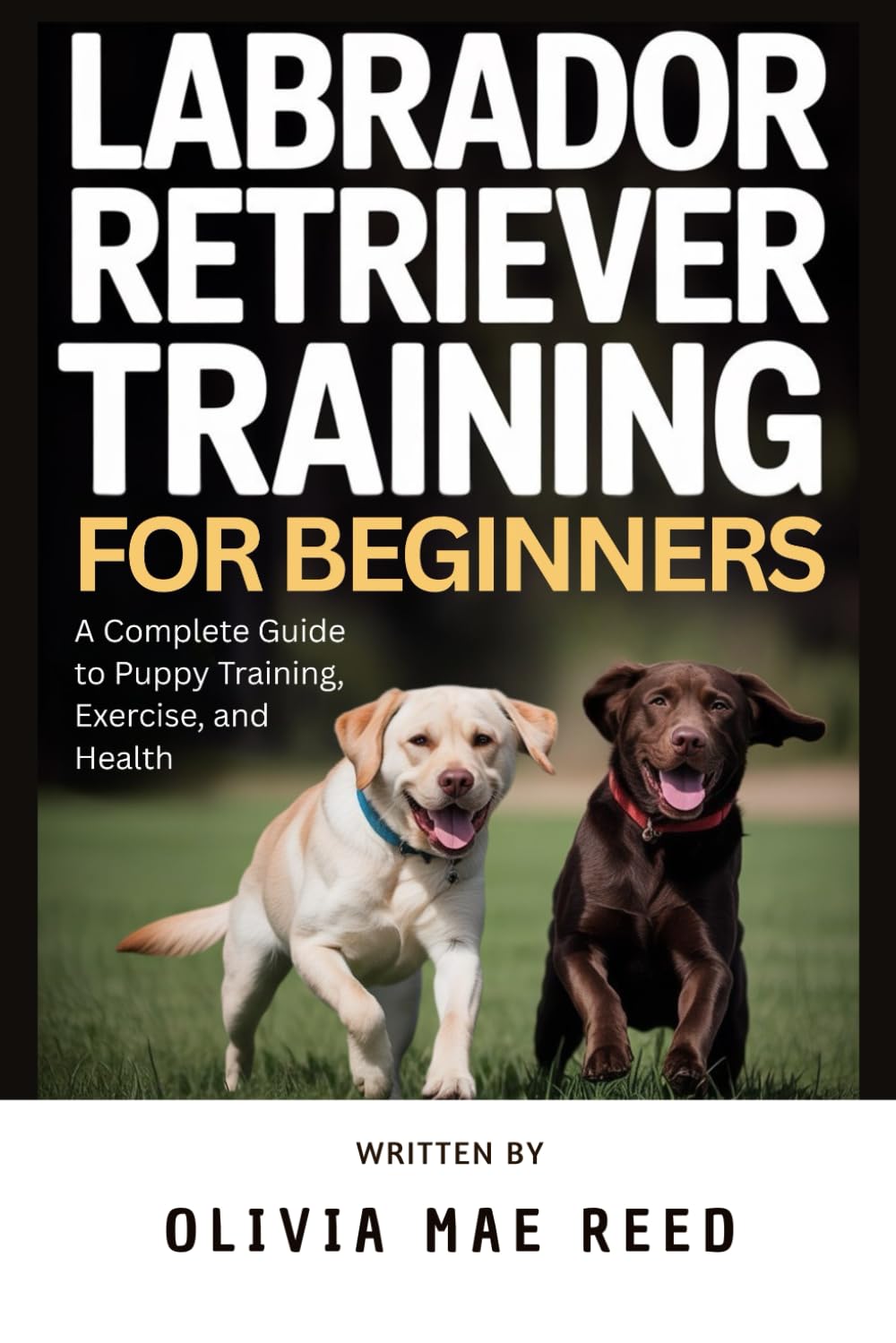 Labrador Retriever training for beginners: A Complete Guide to Puppy Training, Exercise, and Health