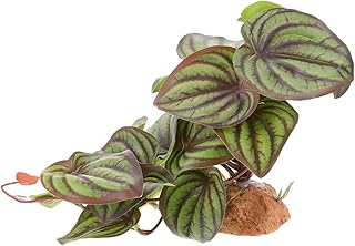 Decorações De Tanque Anfíbios Merch Animais De Vidro Planta Falsa Para Répteis Terrário Plantas De Paisagem Habitats De Répteis Enfeites De Recipientes De Plantas Decorar Sapo Com