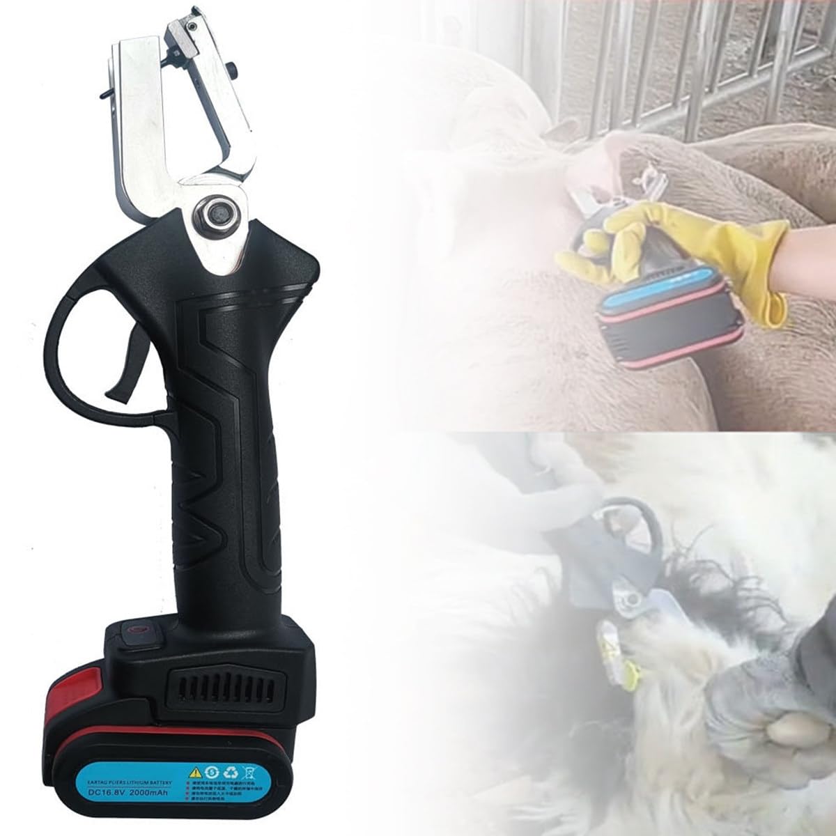 GYKOZY Cordless Electric Ear Tag Applicator for Livestock - Battery-Powered Stainless Steel Tagging Tool for Cattle, Pigs, Sheep & Goats, Removable Battery, Safe & Durables