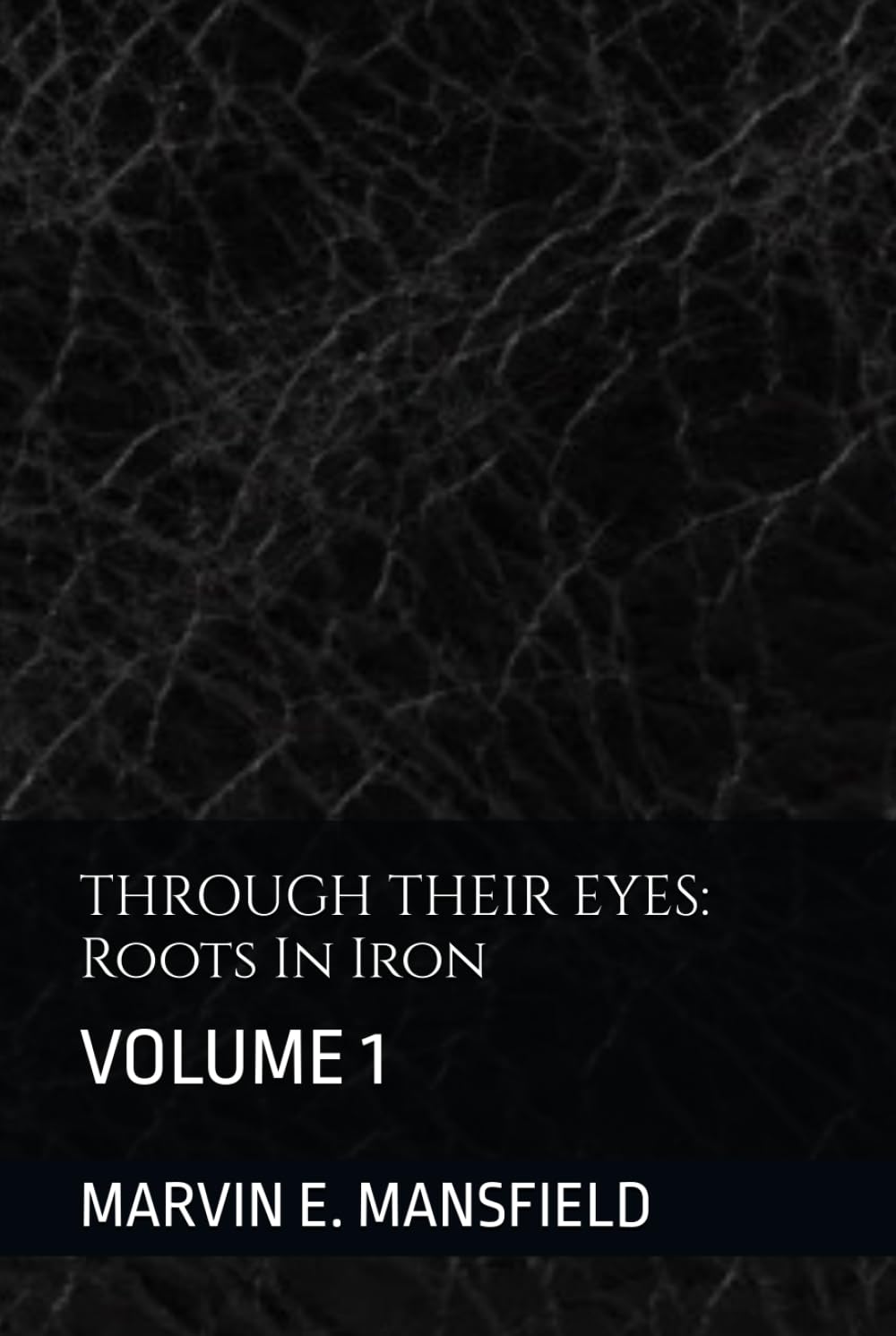 THROUGH THEIR EYES: Roots In Iron: VOLUME 1 (THROUGH THEIR EYES: Four Centuries of African-American Life)