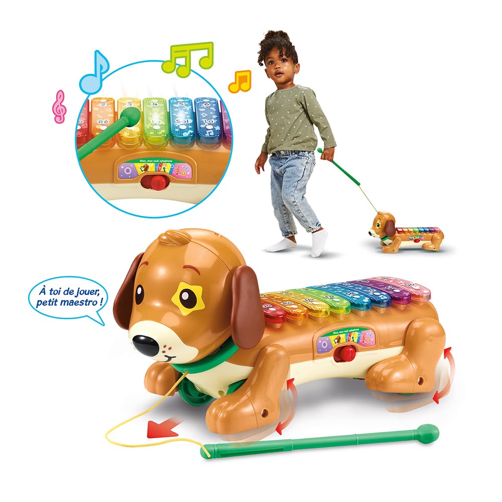 VTech - Elton, Mon Rouli Xylophone, Perro Interactivo para Caminar, xilófono Luminoso 2 en 1, Instrumento Musical para bebés, Juguete para Disparar, Regalo para niños a Partir de 18 Meses