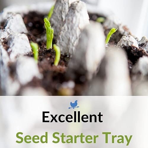 Miniatura 11 de Cartón de pulpa de papel plano en blanco de 12 huevos - Cartones de huevos a granel (25)