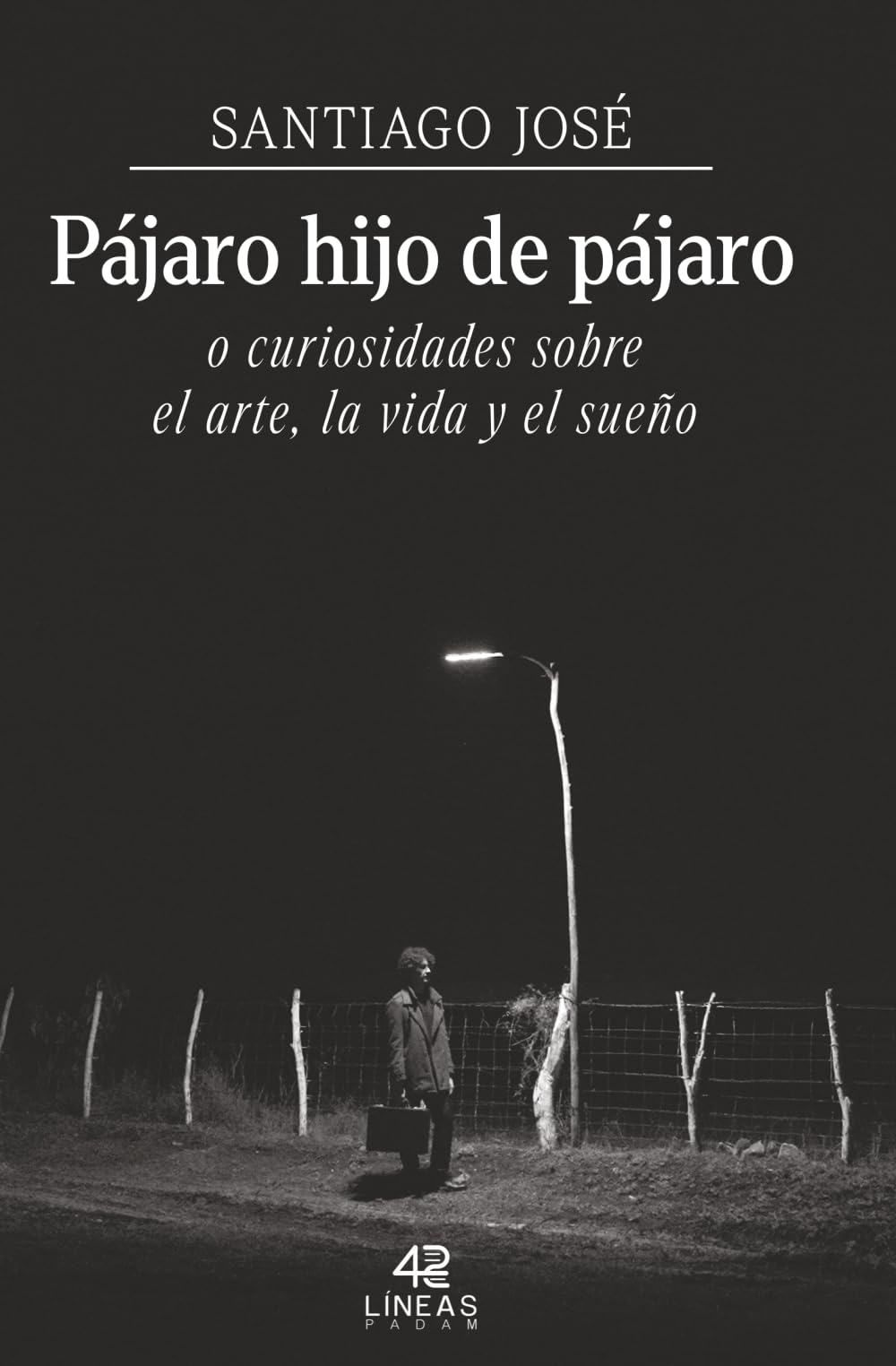 Pájaro hijo de pájaro o curiosidades sobre el arte, la vida y el sueño