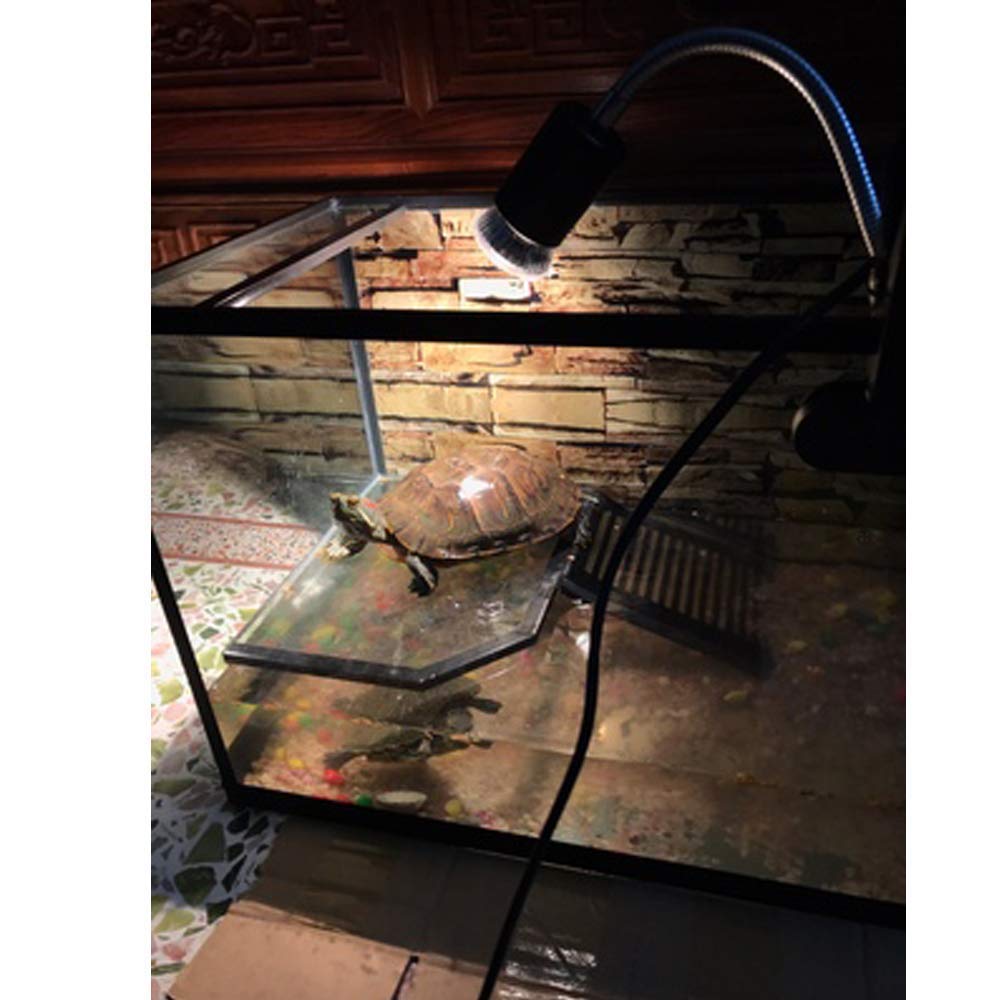Reptile Heat Lamp Clamp Fixture- Flexible Terrarium Habitat Lighting & Heat Lamp Holder Stand, UVA UVB Light Basking Mercury Vapor Bulb Ceramic Heat Bulb Holder for Reptile Snake Tortoise