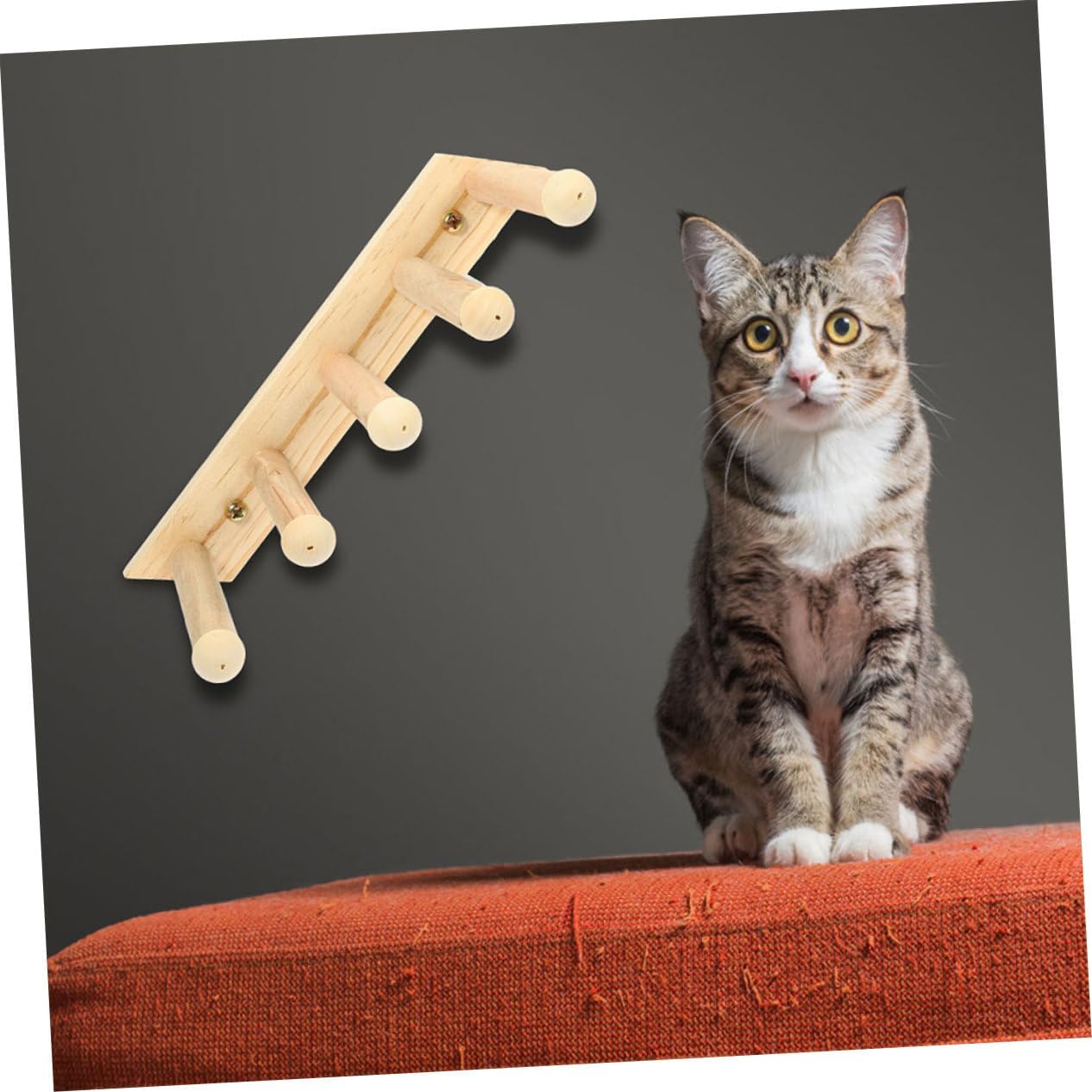 BESPORTBLE 2pcs Wooden Cat Ladder for Indoor Cats Wall-Mounted Climbing Shelf Scratching Tree