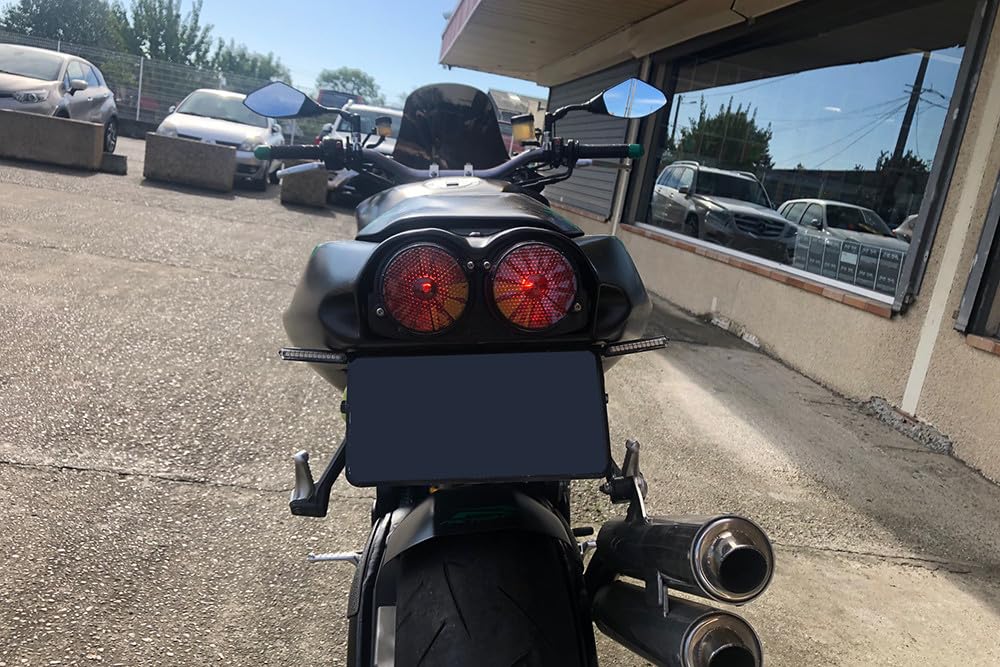 aVDB-moto Coppia Vetro Stop Luce Posteriore Compatibile con APRILIA Tuono 1000 RP 2001-2005, RSV 1000 Mille 1998-2000, RSV 1000 2001-2003 (Fumé Chiaro)