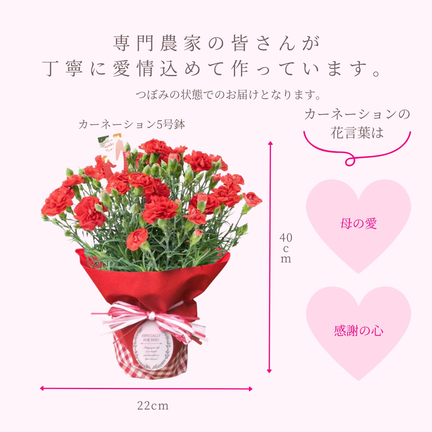 送料無料キャンペーン?】 【ミニフラワーページ】青汁×4箱 + 1袋