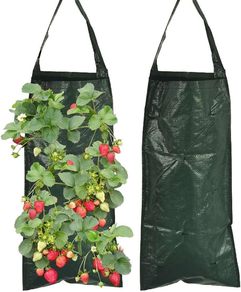 Nutley's Hanging Strawberry Flower Bag Planter Pouch grow fruit herbs