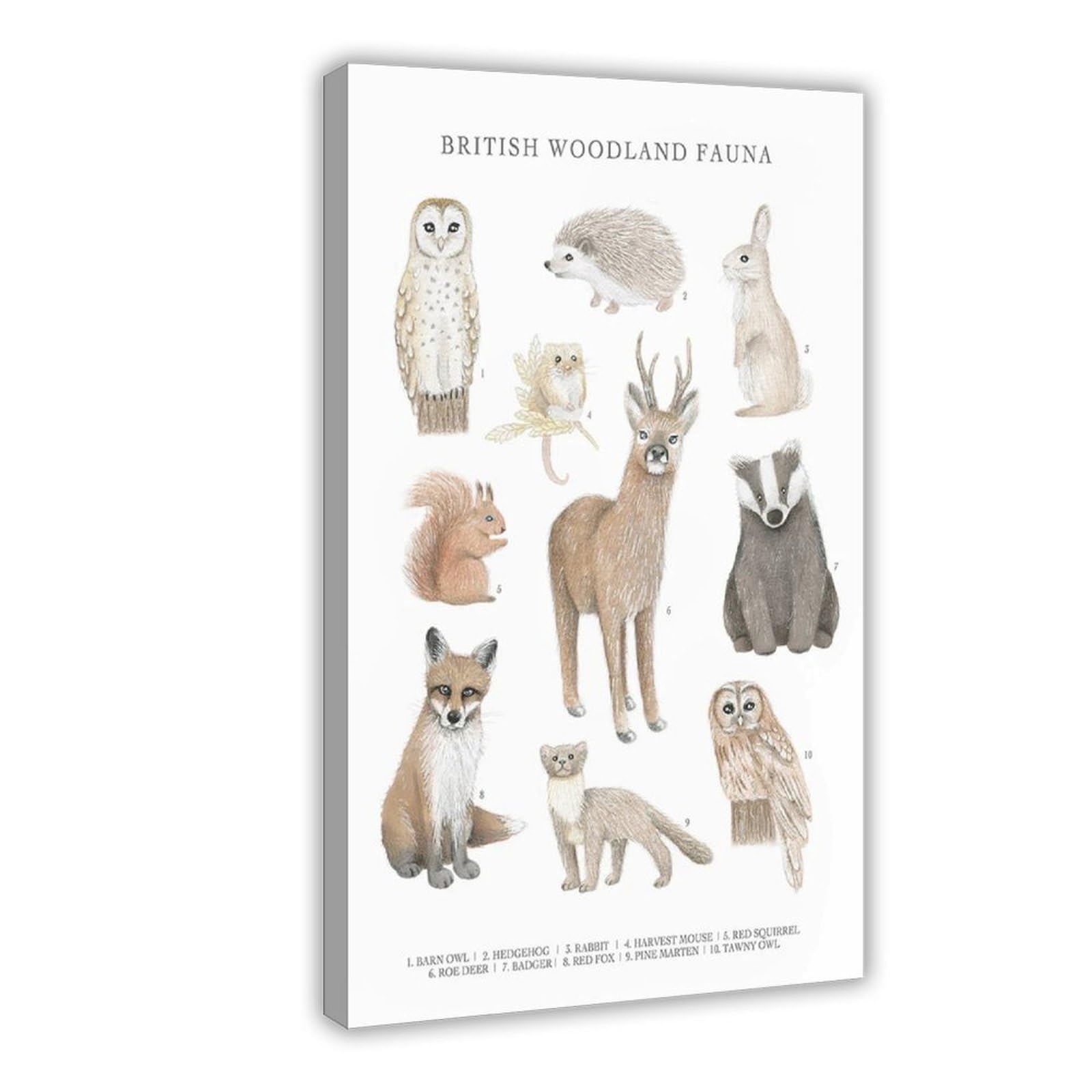 Bareronor Woodland Animals Canvas Poster for Dorm Room Decor Gift