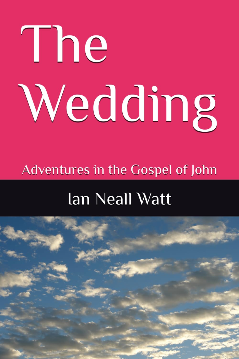 The Wedding: An Adventure in the Gospel of John