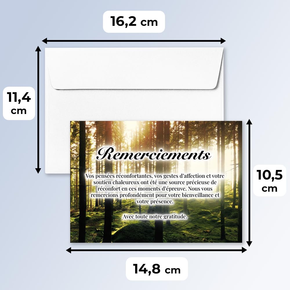 UTTSCHEID Lot de 30 - Cartes Remerciement - Deuil – Condoléances - Décès Obsèques - Cartes avec Enveloppes – Format A6 (10,5 x 14,8 cm) - Paix naturelle