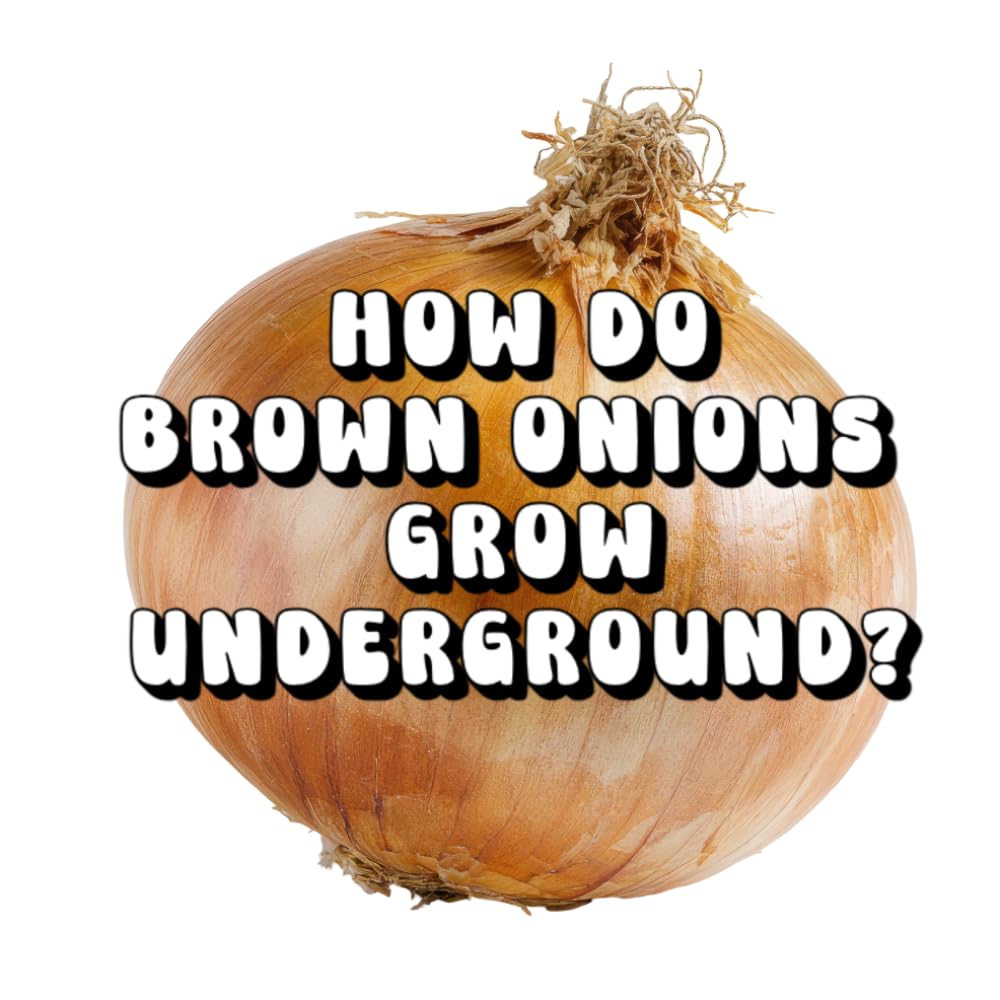 How Do Brown Onions Grow Underground?