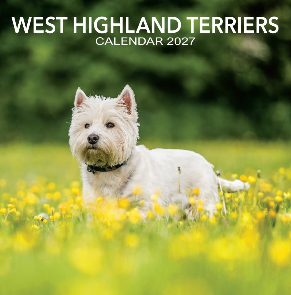 2027 Scotland Calendar: West Highland Terriers - Square Wall Calendar - Month to View - 12 Months