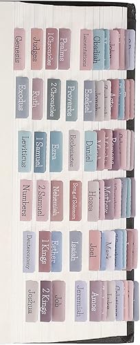 Pestañas de Biblia pastel, pestañas de Biblia laminadas para mujeres, suministros de diario de la Biblia, pestañas de libro de la Biblia, regalo