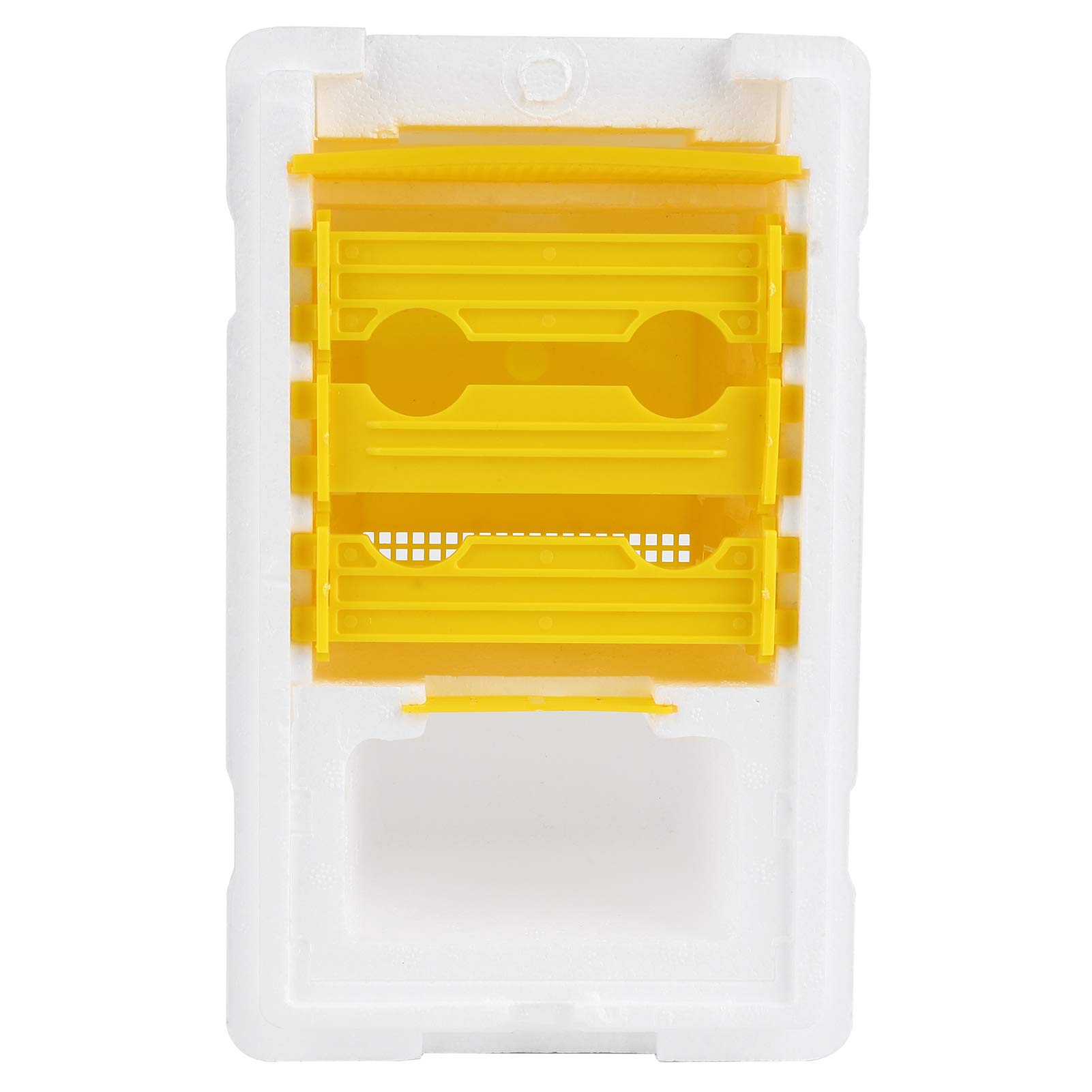 Boîte de Ruches en Mousse et en Plastique, Mini Nuc de Mating pour la Reproduction la Reine avec portabilité Compacte, Copulation Apidea Equipment pour Les Fournitures Apiculteurs