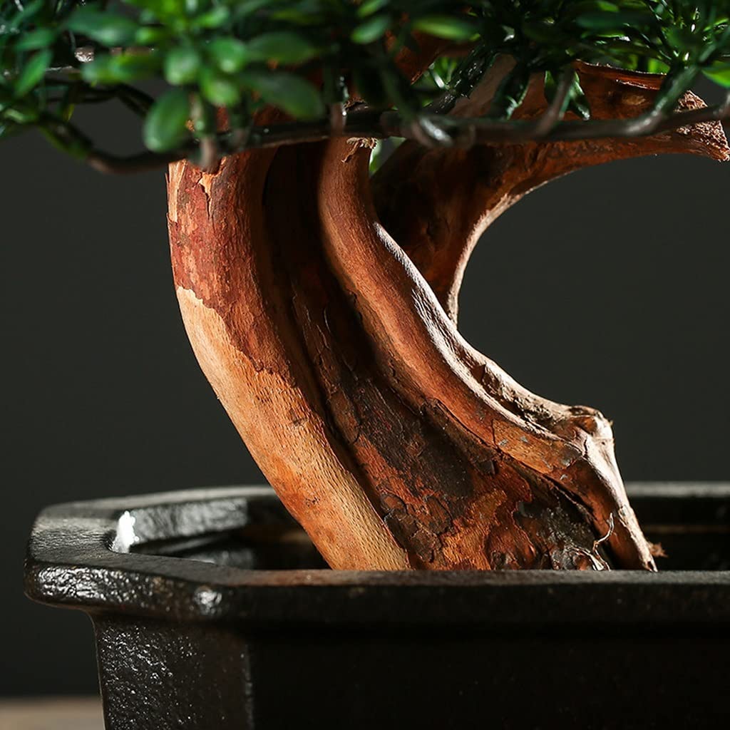 Árbol De Bonsái Artificial, Decoración De Escritorio... | Envío Gratis