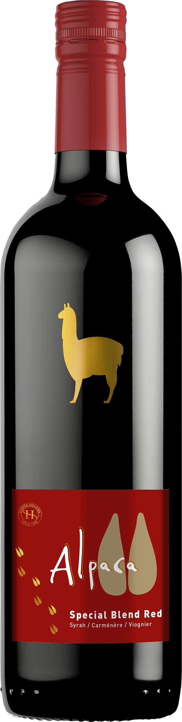 アルパカ様　S (シェ)×2 アルパカ様 S (シェ)×2 Isager Alpaca2 | EYLUL yarns