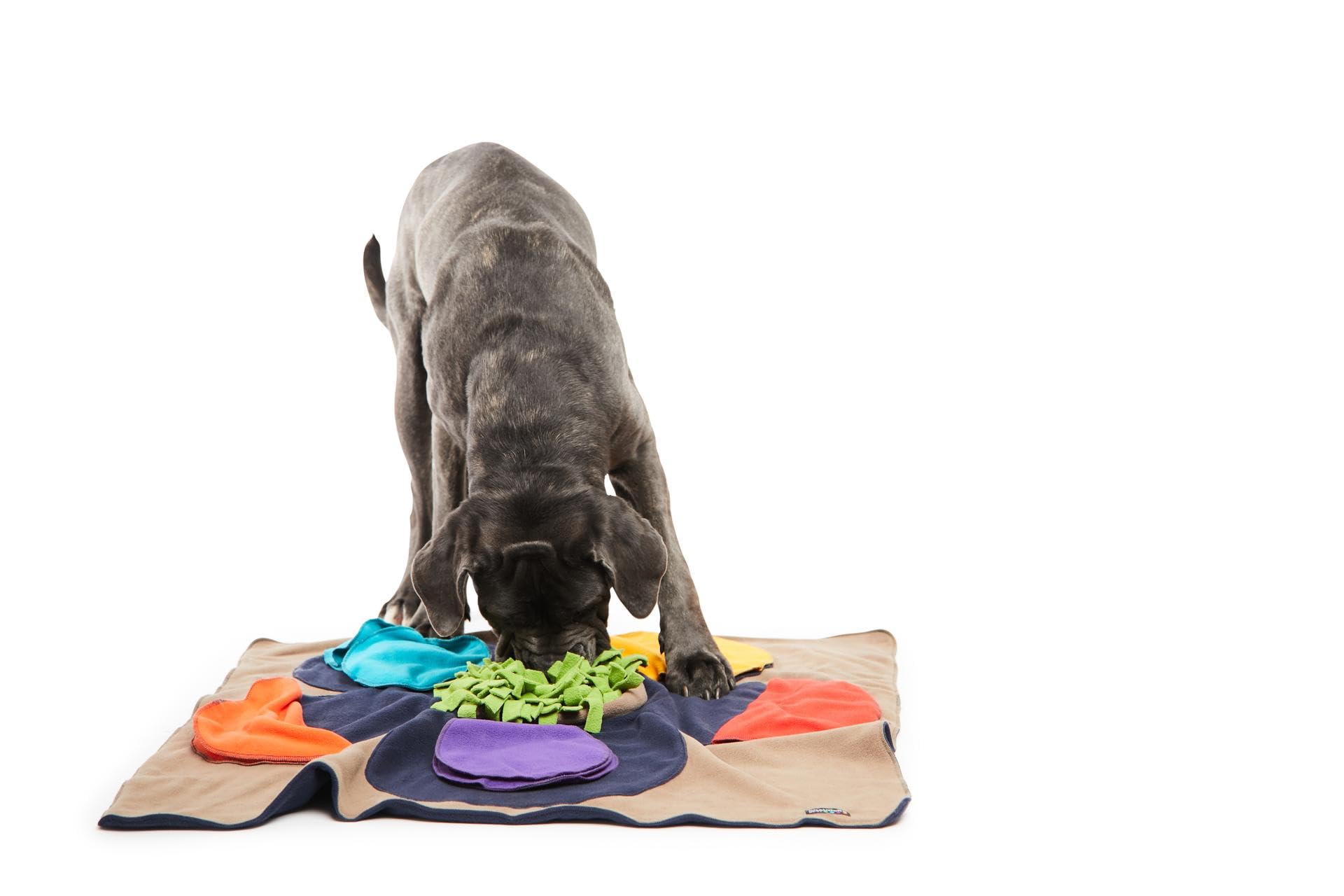 KNAUDERS Best Sniffpad Flower - Schnüffelspaß für große Hunde und Hunde mit Breiten Schnauzen, Welpen und Junghunde