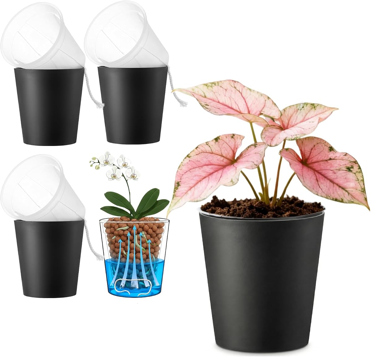 6 inch self Watering Pot with Clear Nursery Pot Inside,Black,3 Pack | dual-pot systerm with wick,Root Visibility,Flexible Use for semi hydro or soil culture,repotting for Monstera,Orchids,plastic