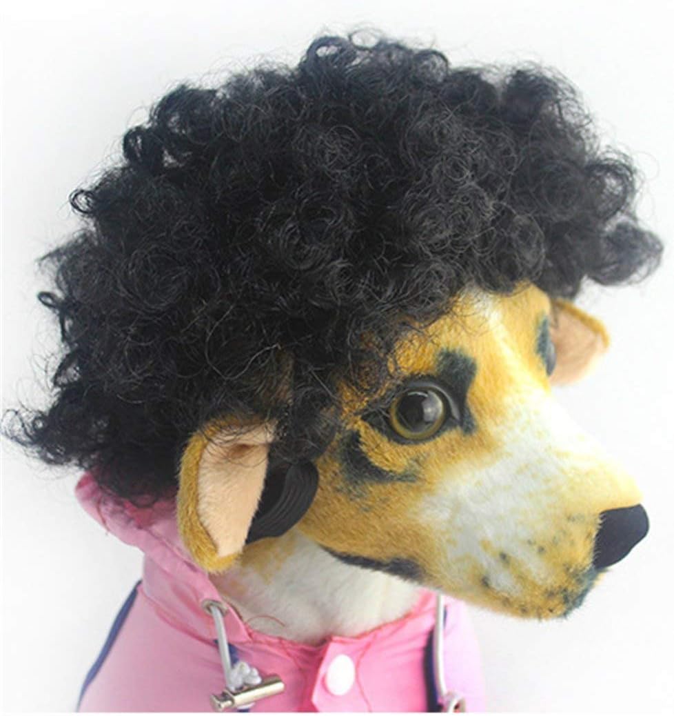 afro wig dog