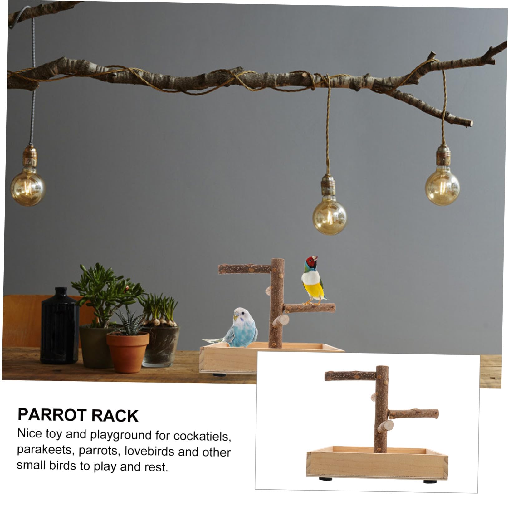 SHINEOFI de Loros de Madera para Entrenamiento, Juguete para Aves Pequeñas, Soporte Resistente de Madera Natural, Tamaño Pequeño, Uso en Jaula Interior y Exterior, Adecuado