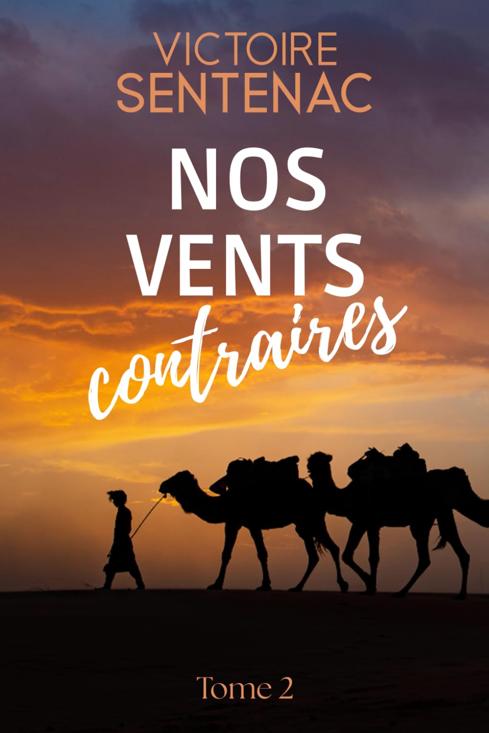 Nos vents contraires: Tome 2 Juste après l'orage (Collection Intense | Juste après l'orage)