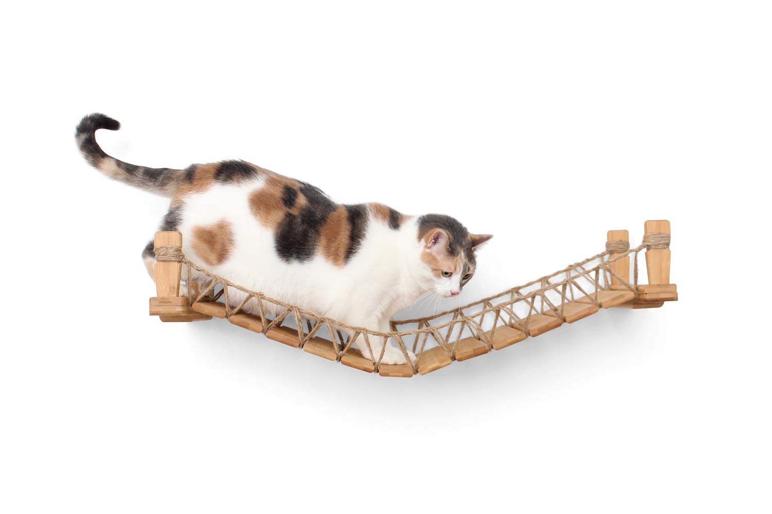 CatastrophiCreations Cat Bridge WallMounted Play and Lounge Toy Cat