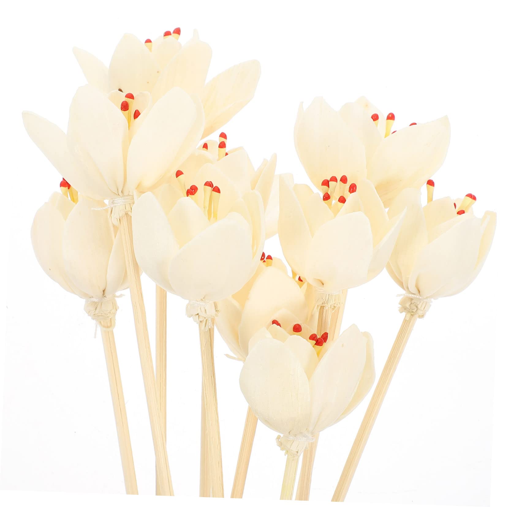 COHEALI 4 Sets Diffusor-nachfüllstäbchen Diffusor- Für Büro Heimdekoration Künstliche Blumenstäbe 10 Stück X 4