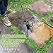 Rock&Rocker Electric Pressure Washer, Power Washer 2150 PSI 1.6 GPM Portable Car Washer Machine with Adjustable Spray Nozzle, Foam Cannon, Ideal for Home/Car/Driveway/Patio Cleaning, Orange (HX13S)