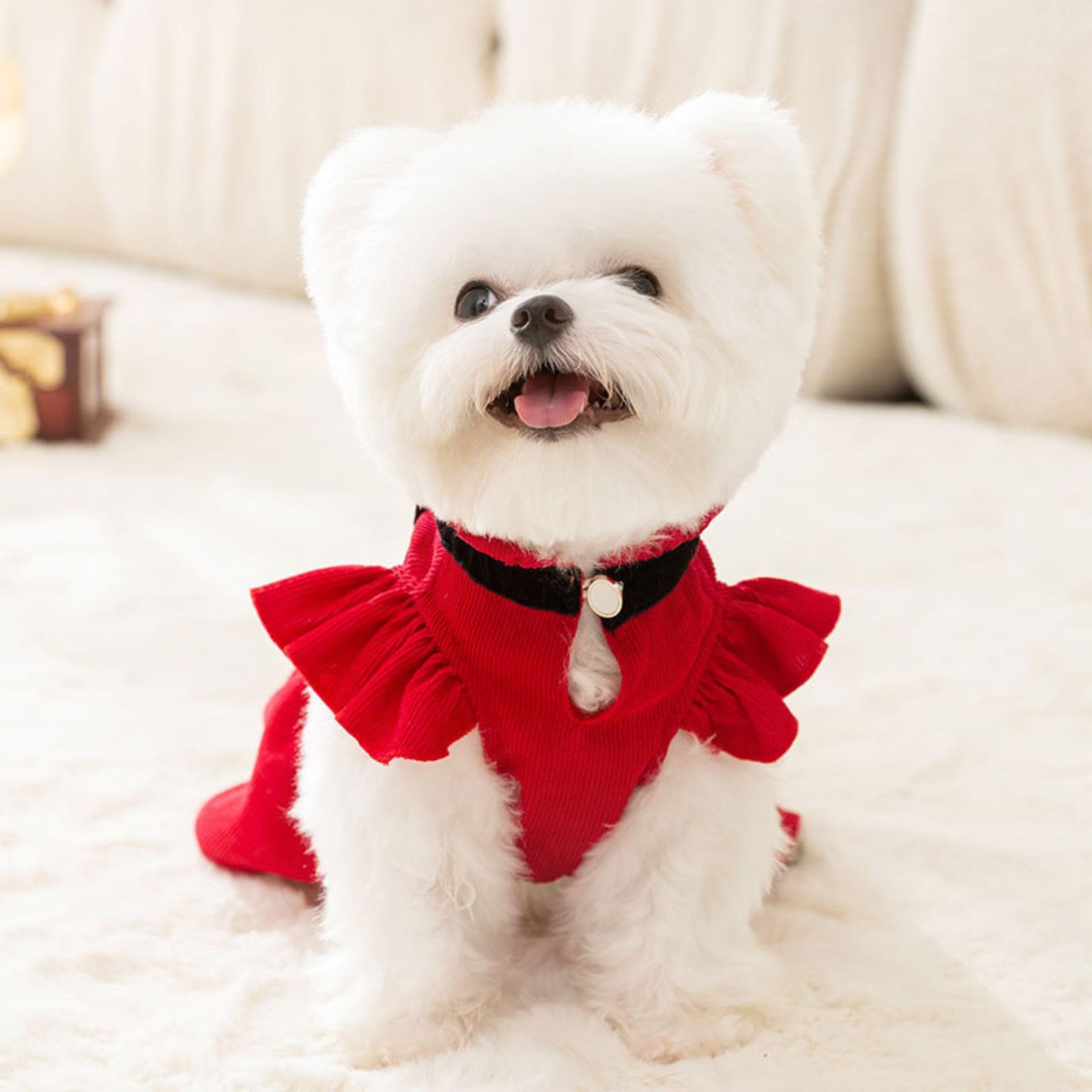 Amazon.com : Red Corduroy Dog Dress Sweater for Small Dogs Girl Set Dog Winter Dress Puppy Clothes Christmas : Pet Supplies Amazon.com : Red Corduroy Dog Dress Sweater for Small Dogs Girl Set Dog Winter Dress Puppy Clothes Christmas : Pet Supplies