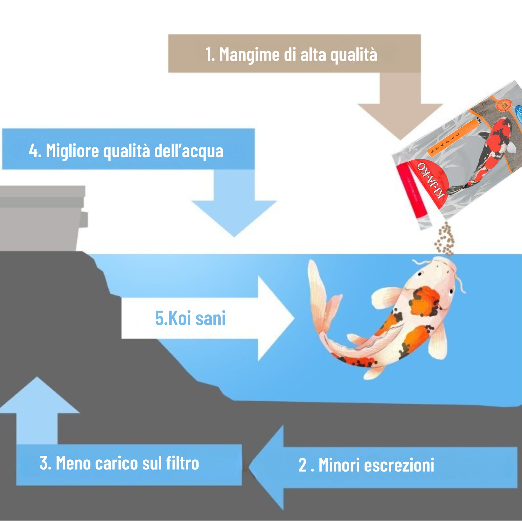Staple alimento galleggiante per carpe koi da 3 kg / 3 mm - con sapore di grano, per l'alimentazione dei koi durante tutto l'anno a una temperatura di 10 °C
