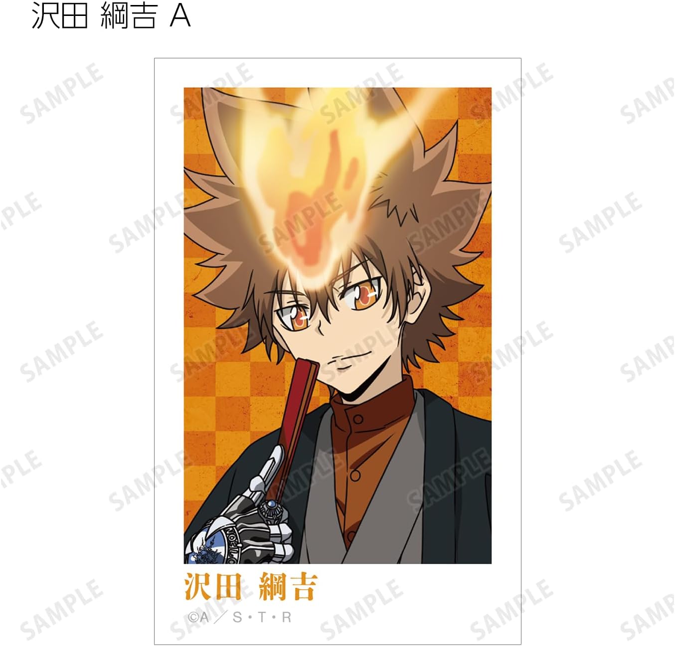 Home Teacher Hitman Reborn! Illustrated Japanese and Western Eclipse Ver. Trading Illustration Cards Set of 2 15 Box