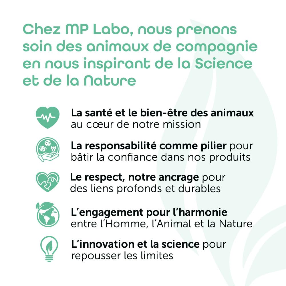 MP Labo Phytobiovet® Shampoing sans Rinçage pour Chien et Chat 200 ML - A l’Aloe Vera et à la Mauve - Labellisé Ecocert Ecosoin Bio des Animaux