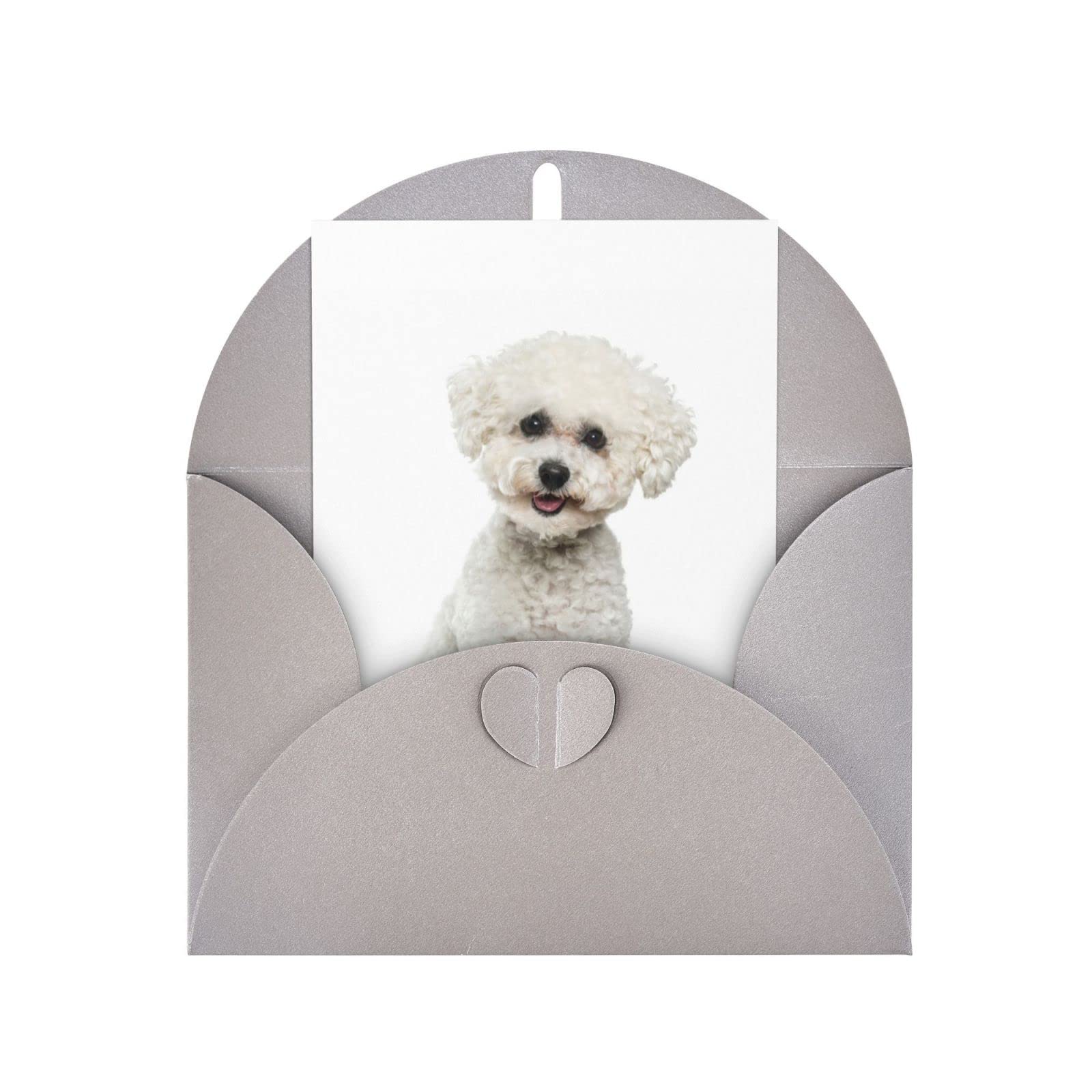 Amazon.co.jp: ビションフリーゼ犬 誕生日カード メッセージカード